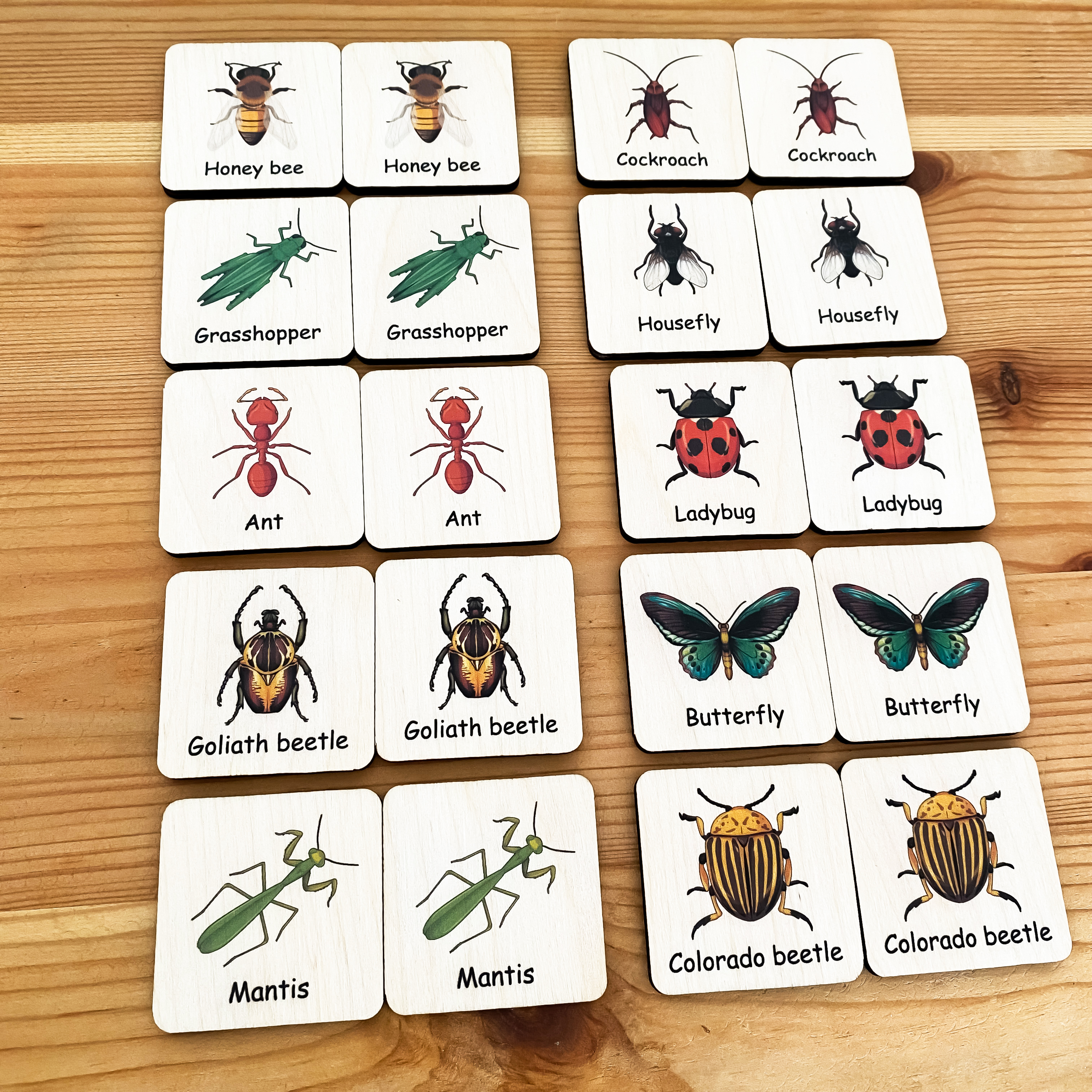 Insect Memory Game