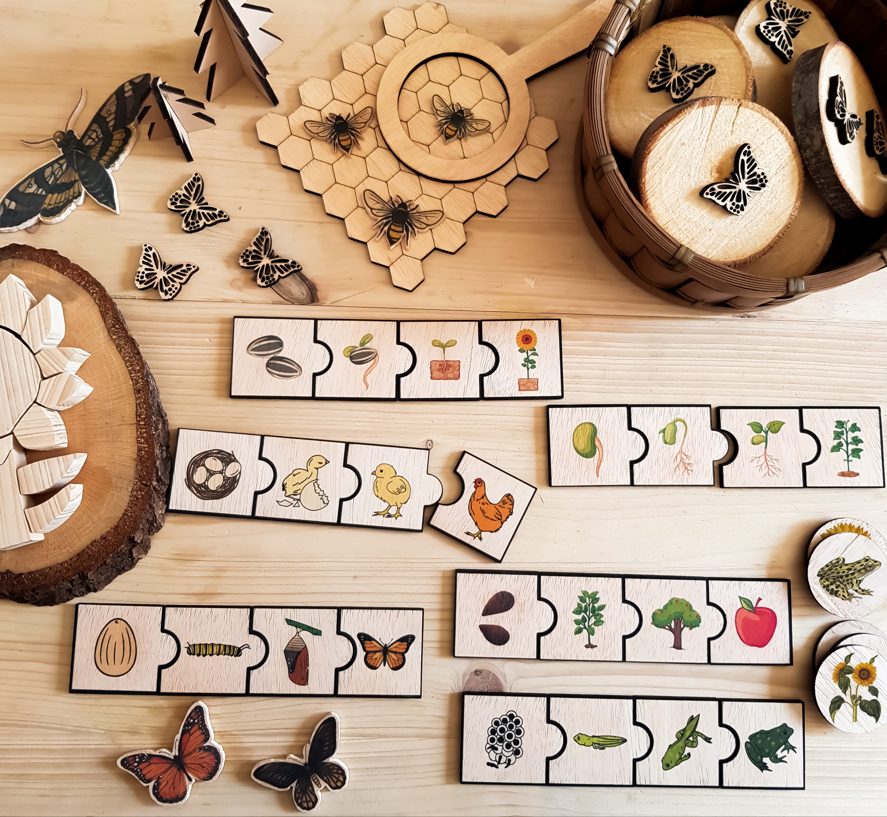 Life cycle Puzzle