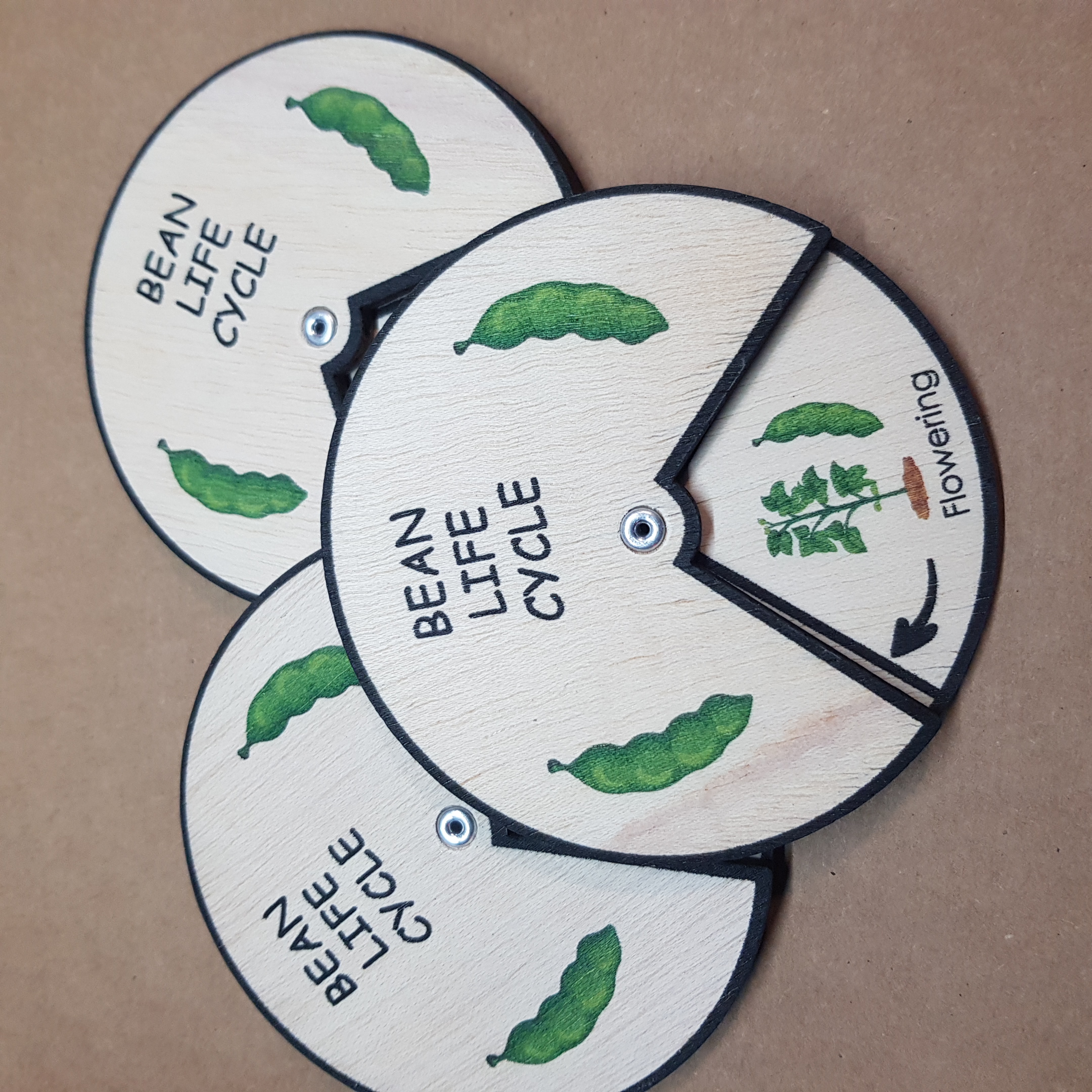 Bean Life Cycle