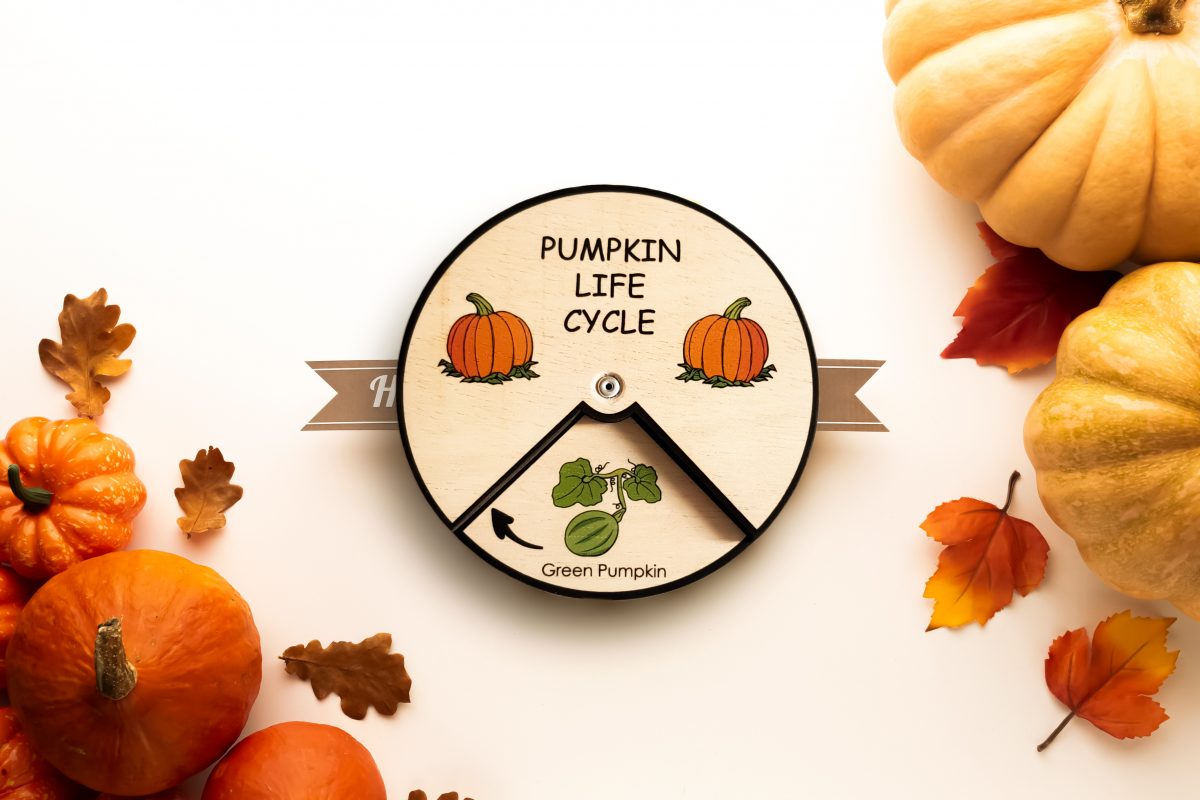 Pumpkin Life Cycle