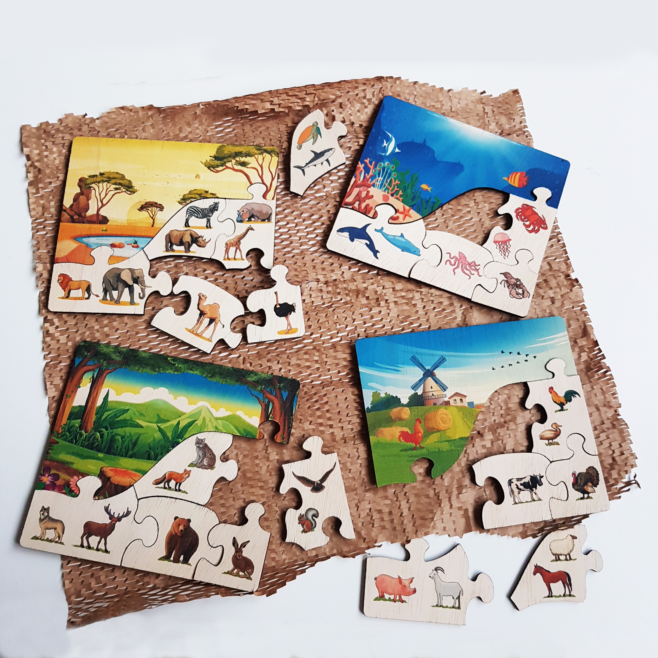 Habitats Puzzle