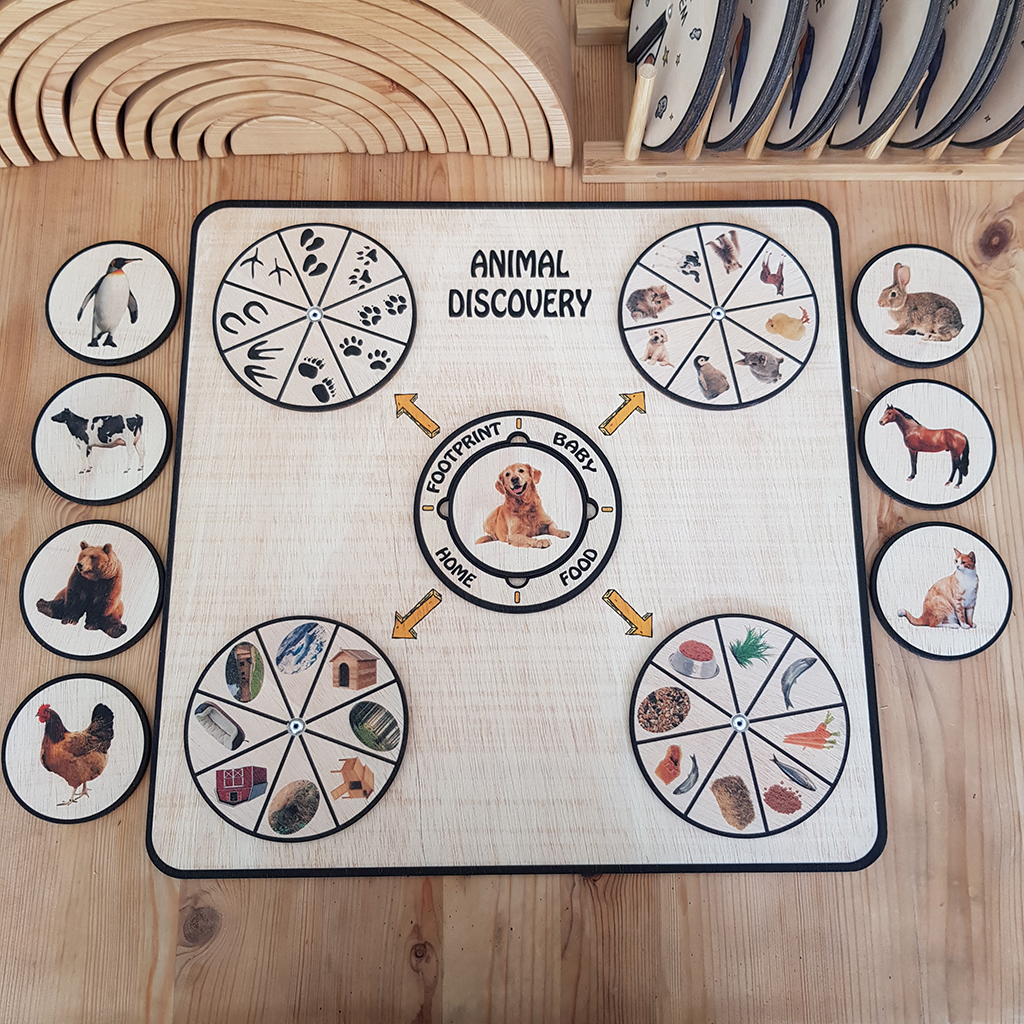 Animal Activity Wheel