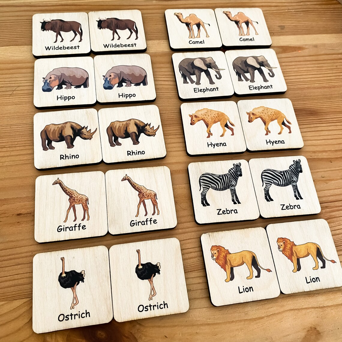 Safari Memory Game