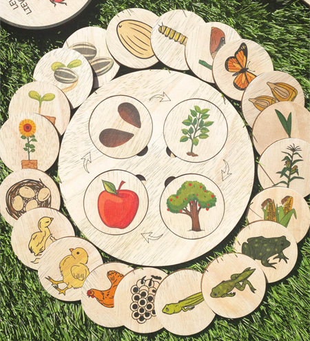 Life Cycle Board