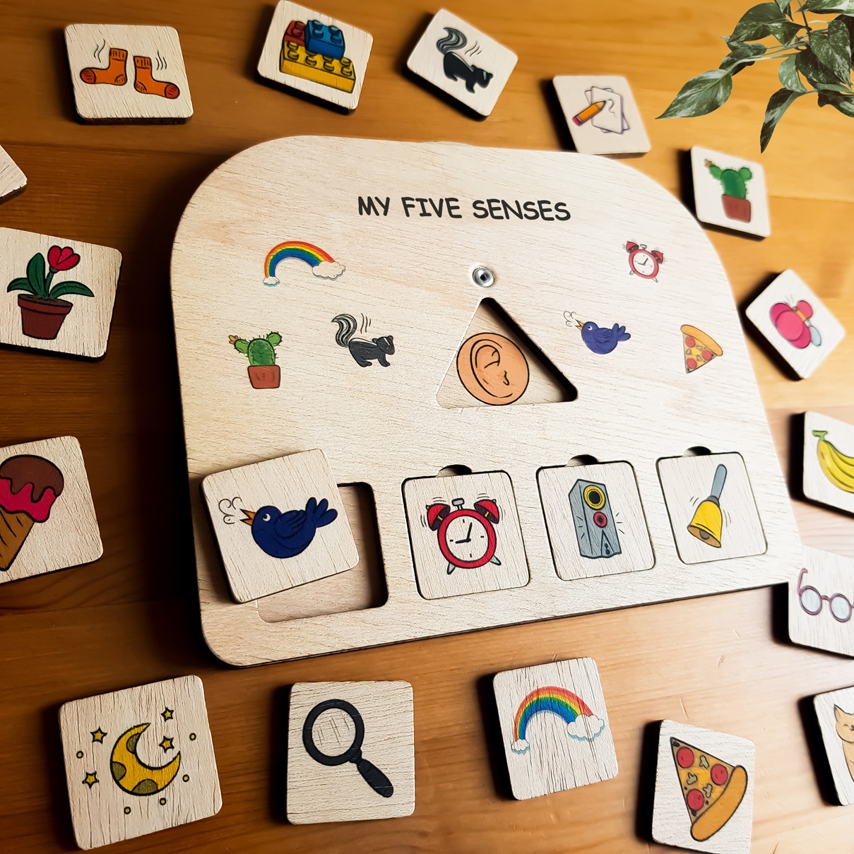 My Five Senses